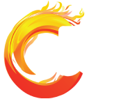 IB Fire & Security